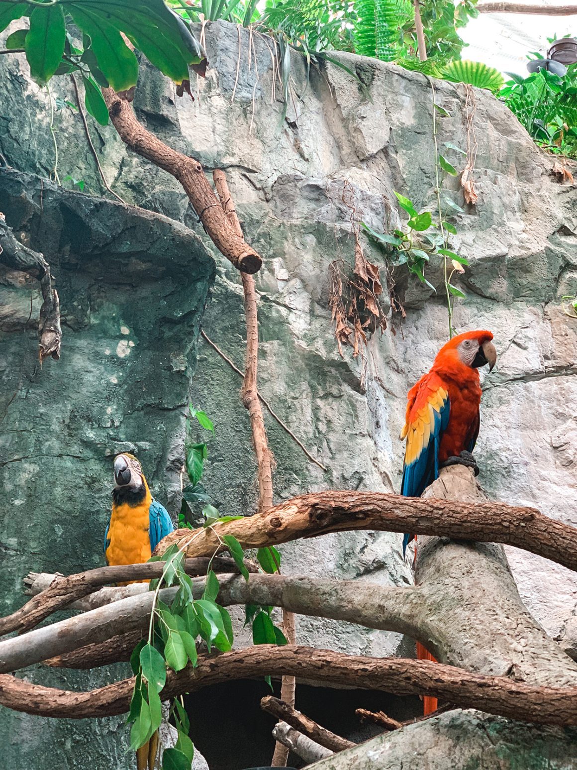 National Aquarium in Baltimore MD