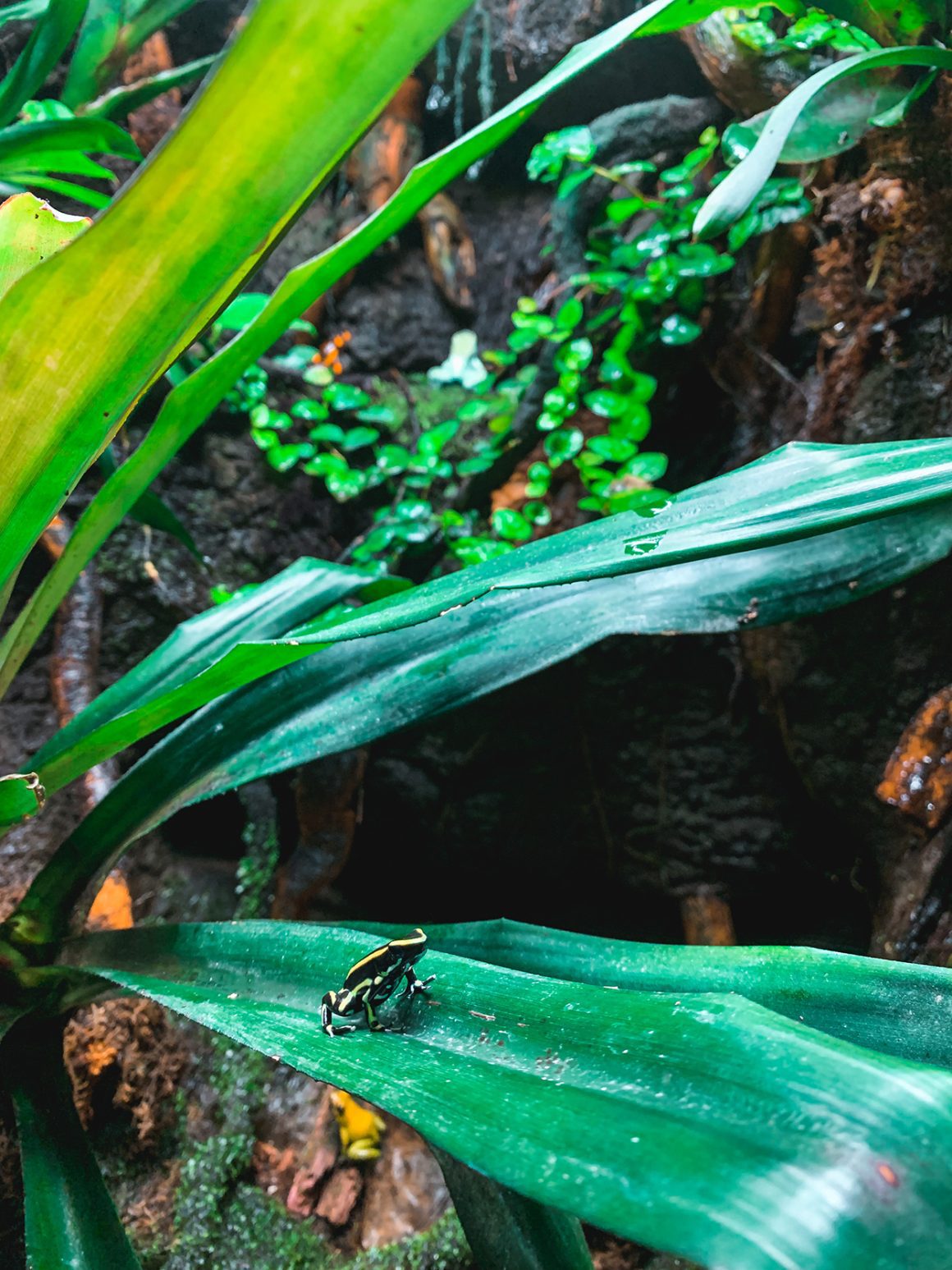 National Aquarium in Baltimore MD