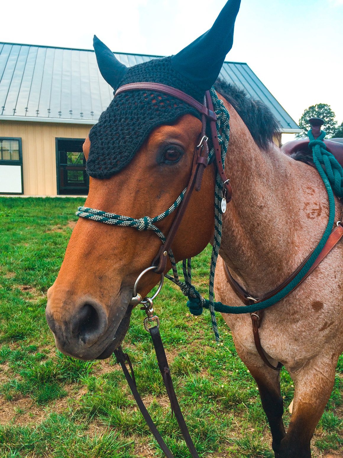 Salamander Resort and Spa Horseback Riding - Things to do in Middleburg VA
