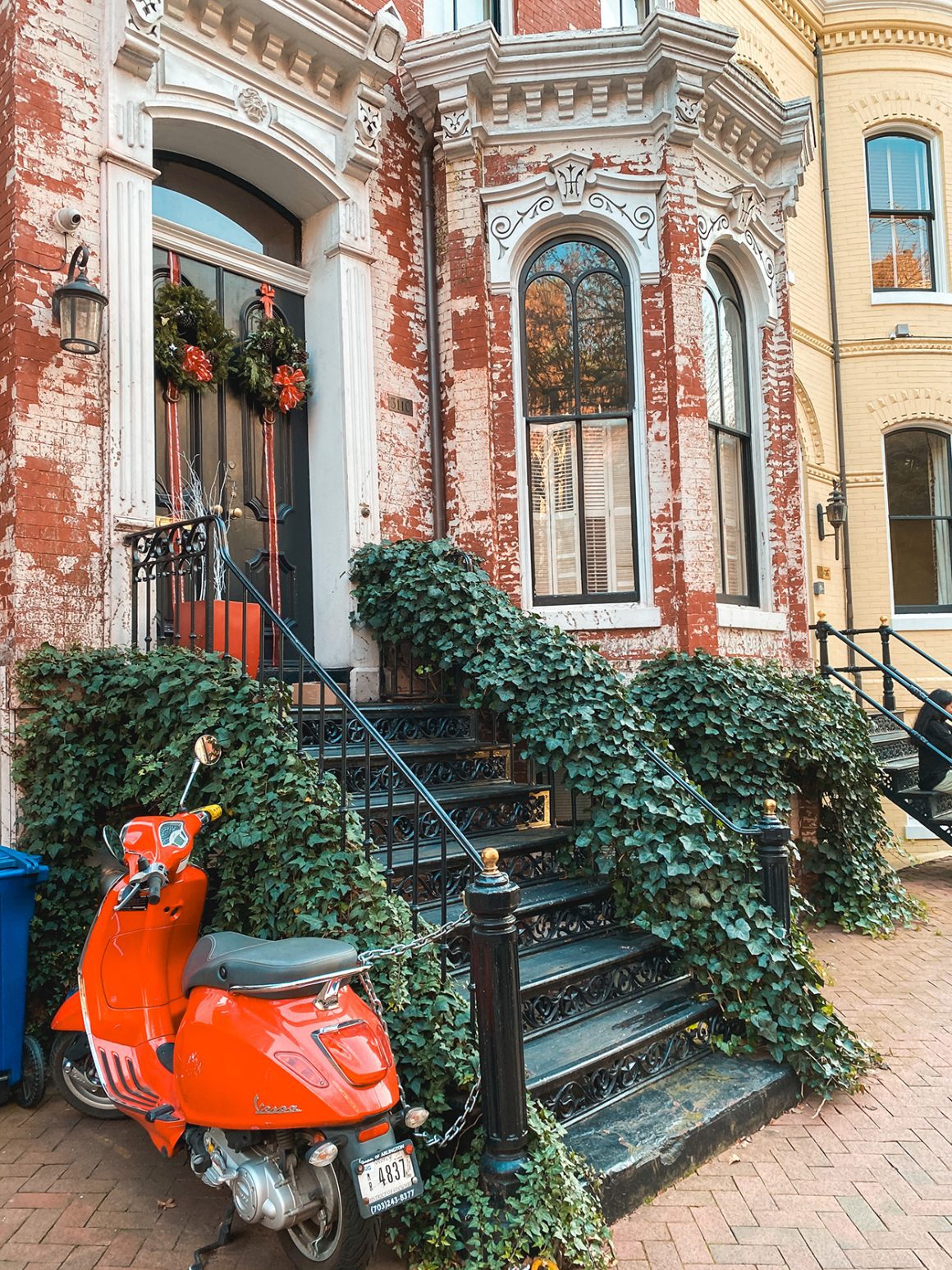 35+ Amazing DC Christmas Lights Displays (Updated 2024) - Georgetown Washington DC Christmas