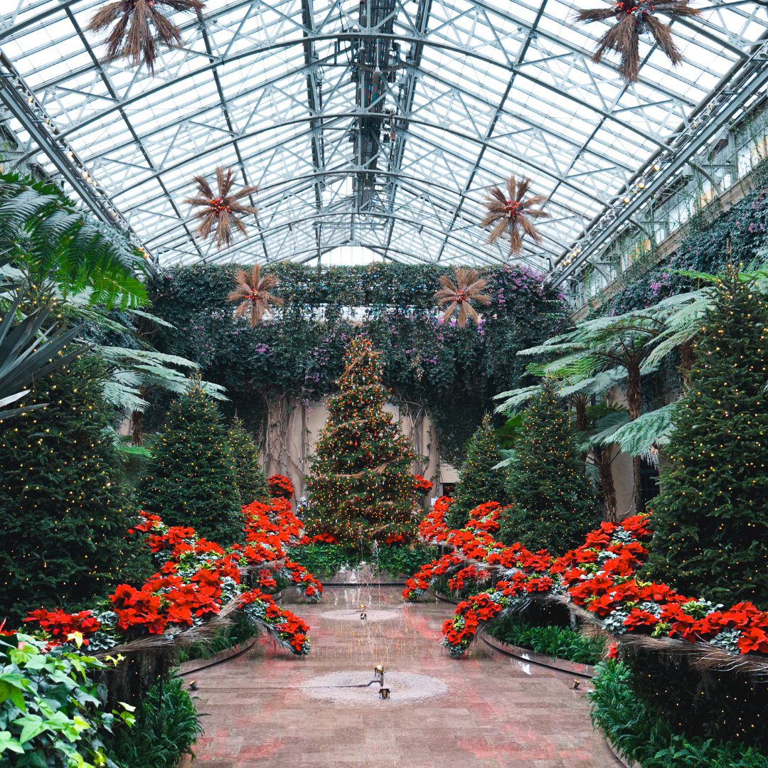 Atrium views of Christmas in Longwood Gardens, Kennett Square PA- photo credit Keryn Means of DCTravelMag.com and a Washington DC travel expert