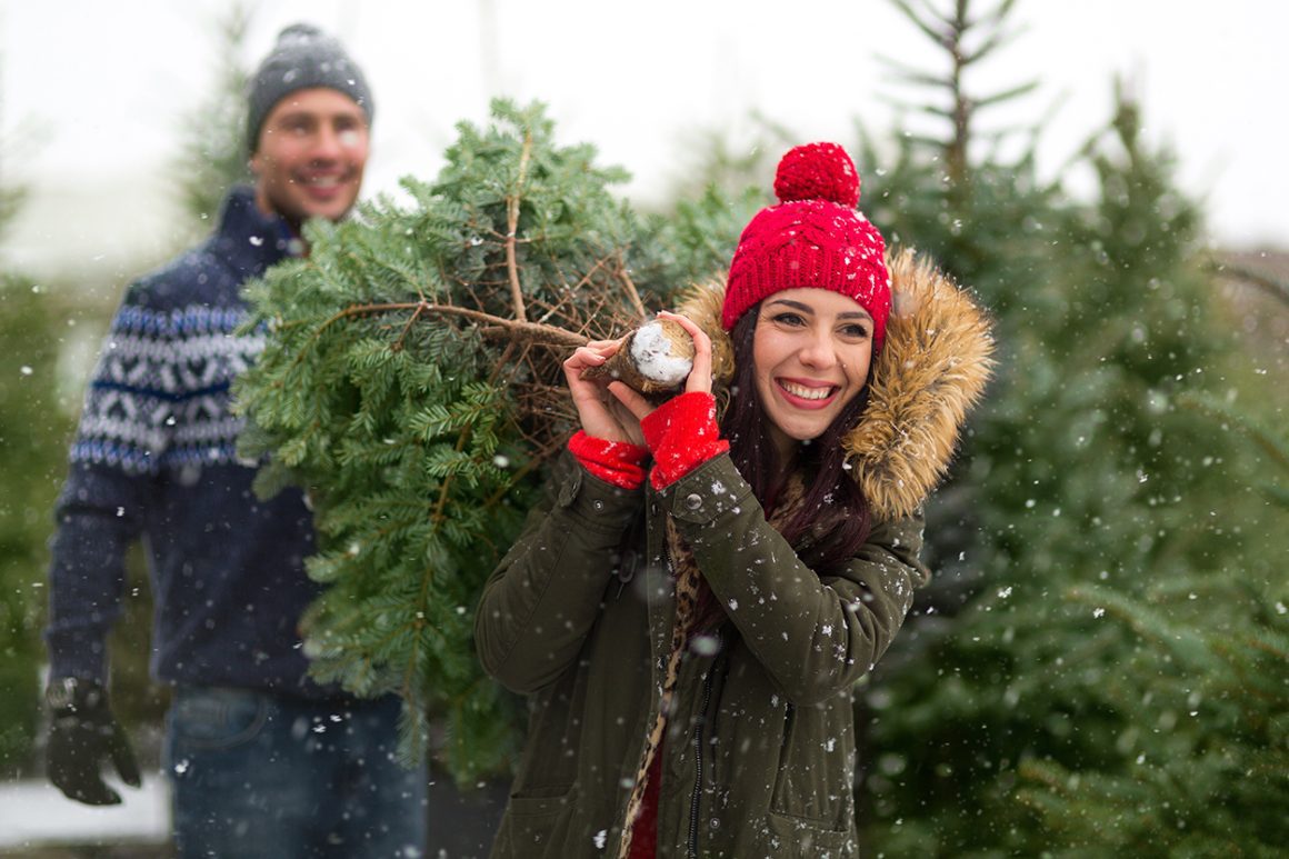 25+ Beautiful Cut Your Own Christmas Tree Farms In Virginia - Couple carrying a Christmas Tree in the Snow
