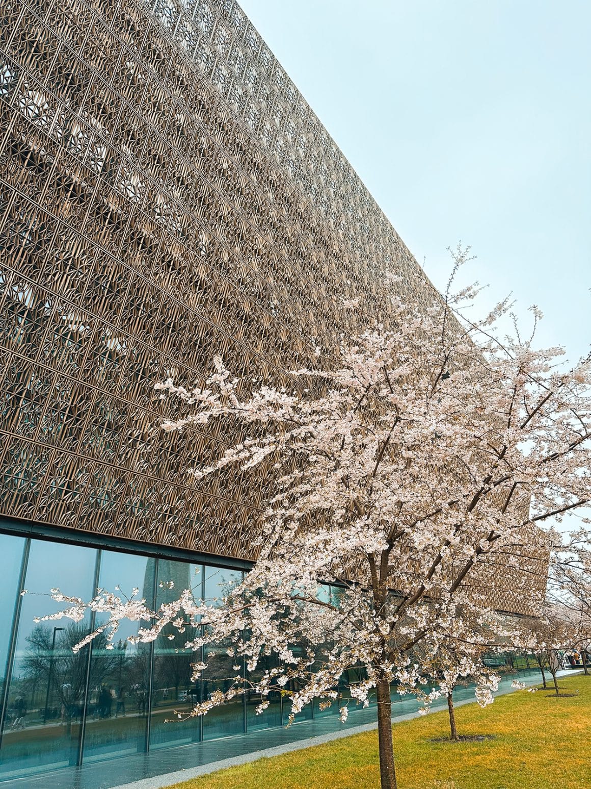 NAAHM cherry blossoms on the National Mall in Washington DC - photo by Keryn Means TwistTravelMag.com