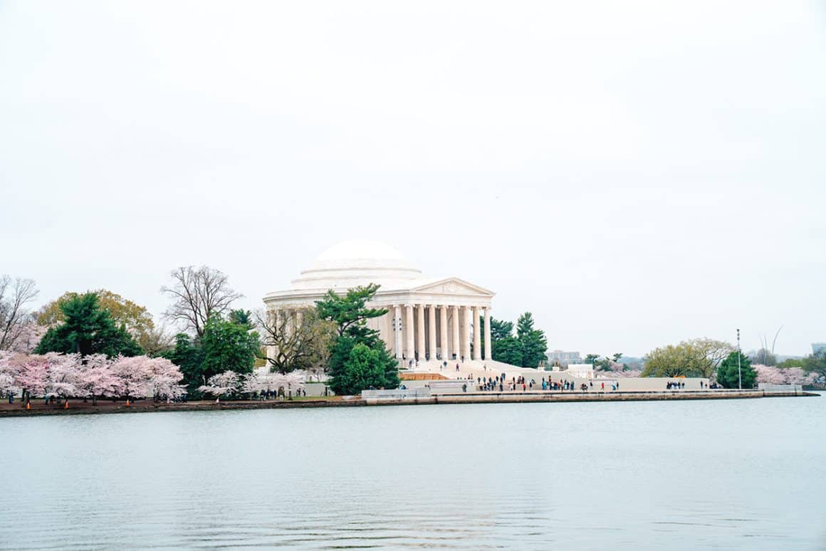 Jefferson Memorial on the Tidal Basin in Washington DC during Cherry Blossom Peak Bloom - photo credit Keryn Means TwistTravelMag.com