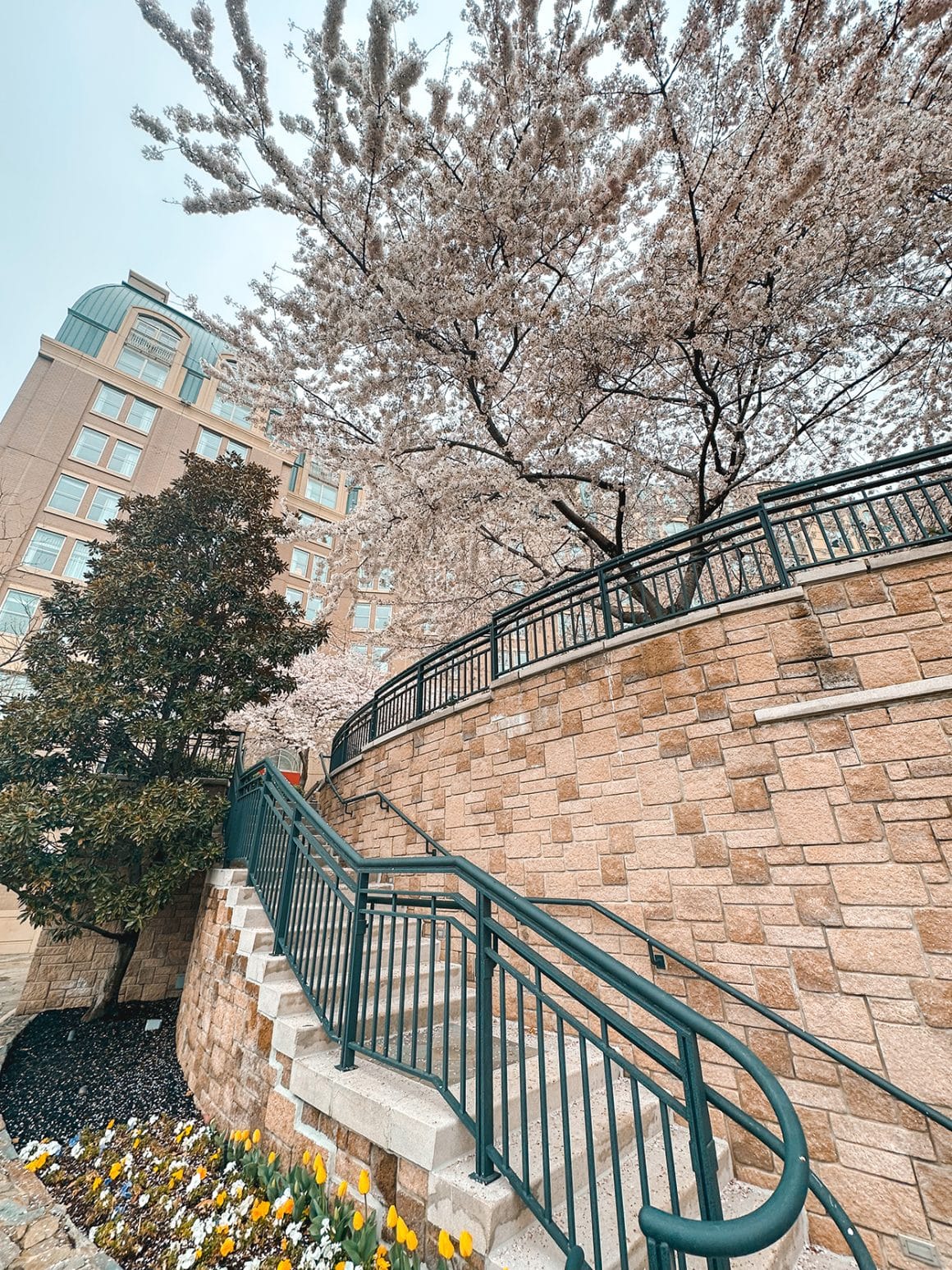 Salamander Hotel in DC