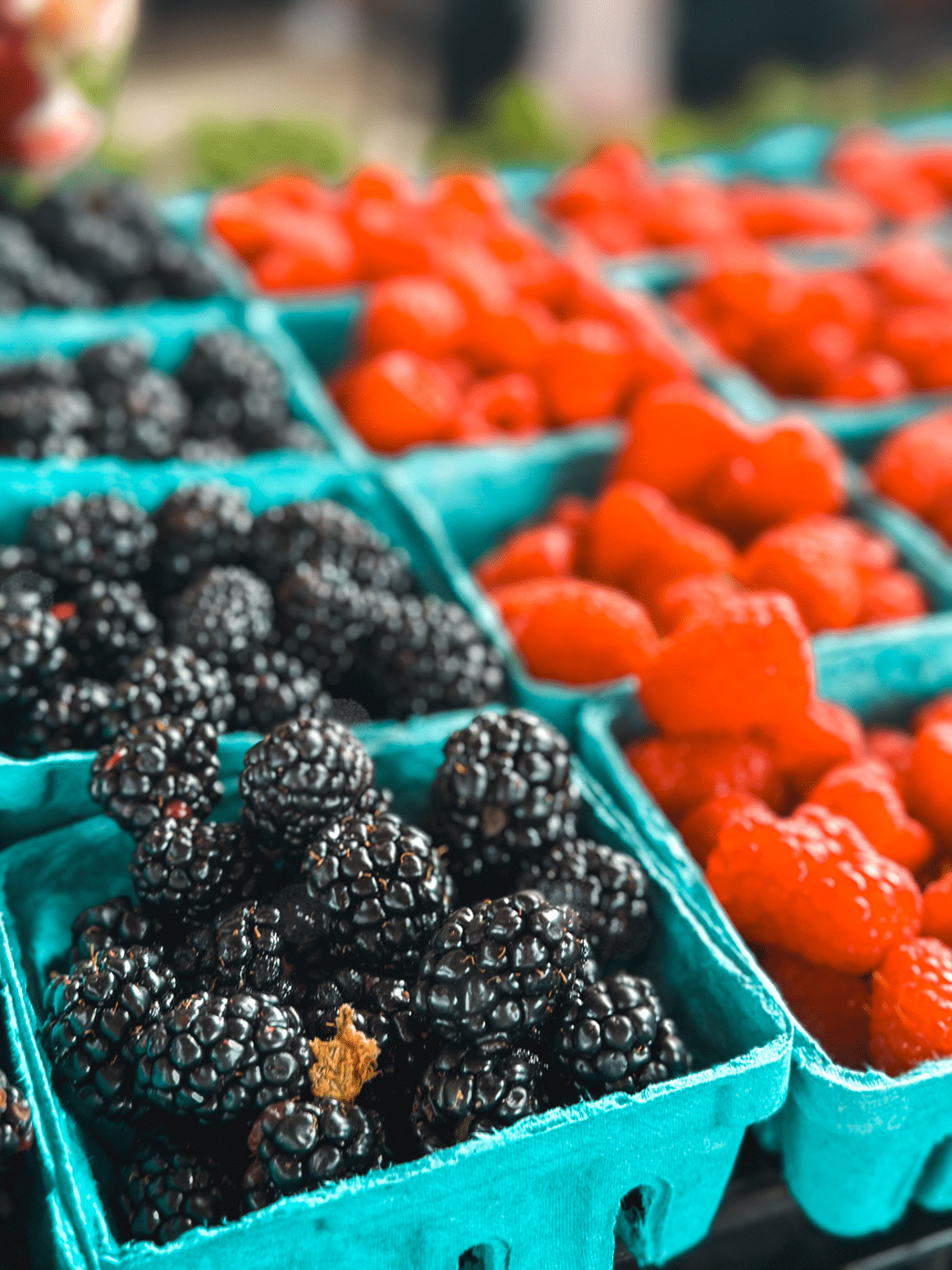 Historic Manassas Farmers Market- photo credit Keryn Means