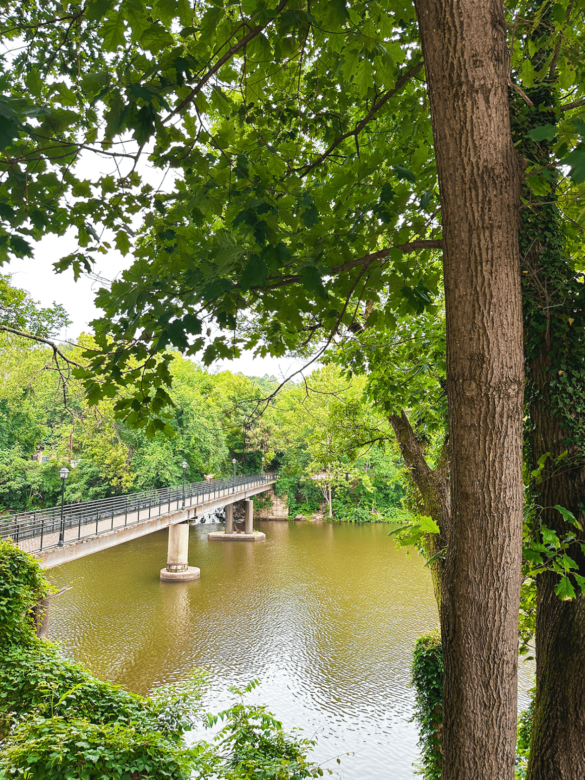 Footbridge in Occoquan, VA- photo credit Keryn Means