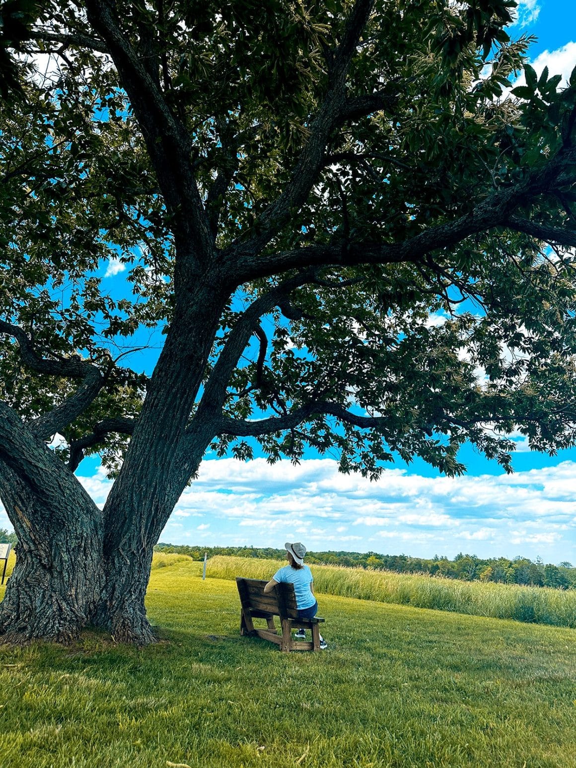Manassas National Battlefield Park- photo credit Keryn Means